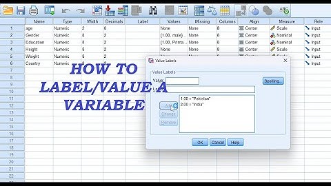 HOW TO LABEL A VARIABLE IN SPSS