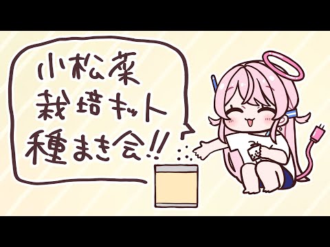 775号ラベルの小松菜栽培キットの種まきするよ～～！！！