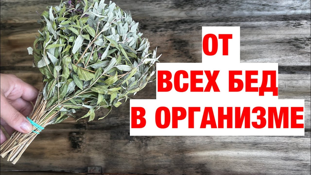 Тяжести в ногах, Варикоза Нет! ОТЁКОВ НЕТ, БОЛЕЗНИ ОБХОДЯТ СТОРОНОЙ ...