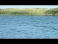 Озеро Свистун поселок Гранитный - Новоорск онлайн