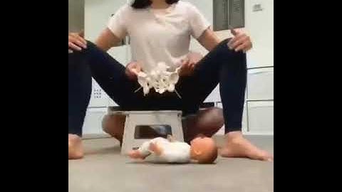 Pelvis bone #share #short