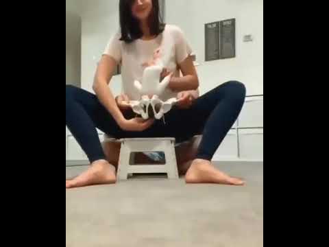Pelvis bone #share