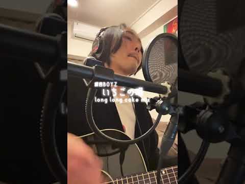 いちごの唄 long long cake mix /銀杏BOYZ   covered by 木村ケンシン @_kkenshin (2023.01.18 ツイキャス)