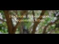 Biodiverse reforestation sequesters carbon 1 minute summary