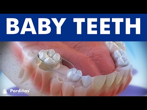 Baby teeth and the use of space maintainers ©