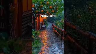 #Psalm 29:11 #bibleverse #shorts