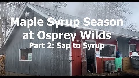 Maple Syrup Part 2: Sap to Syrup