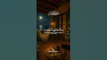 راحة نفسية❤️✨حالات واتس اب قران/مقاطع دينية قصيرة آيات قرانية/ستوريات انستا#قرآن_كريم