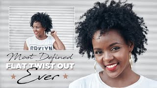 Natural Hair | Most defined Flat Twist Out Ever + Obia Naturals Curl Creme Review