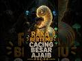 RAKA BERTEMU CACING BESAR  AJAIB | Episode 6