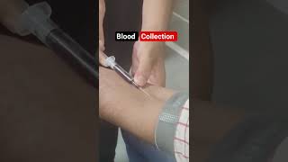 blood collection practical #bmls #bloodcollection #shorts