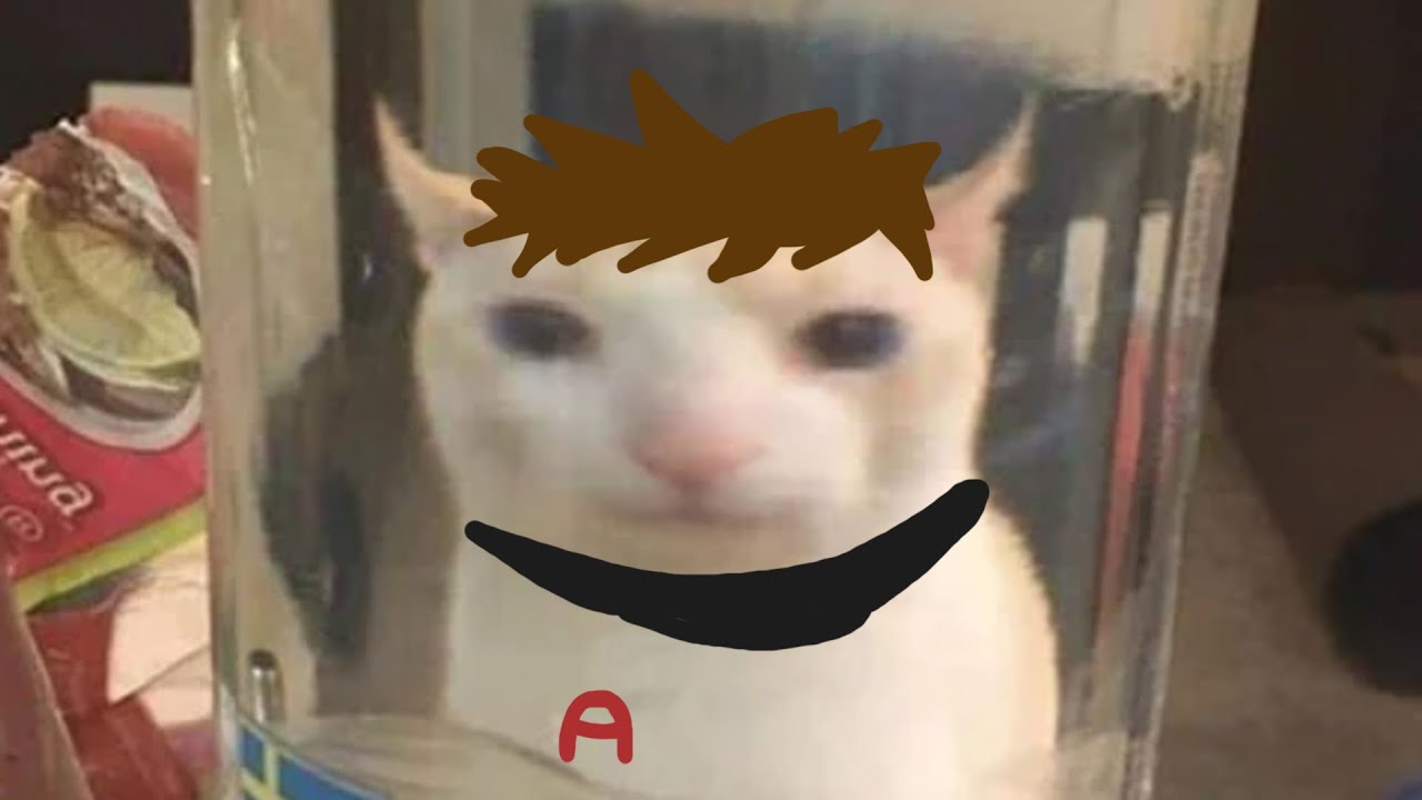 el gato 2