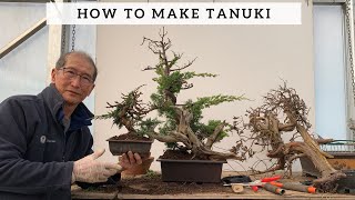 How To Make Tanuki