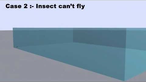 Shortest Distance Problem