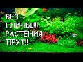 КОПЕЕЧНОЕ УДОБРЕНИЕ. РАСТЕНИЯ РАСТУТ КАК НА ДРОЖЖАХ!