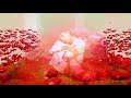 Ariana Granen Starlight Official Music Video 