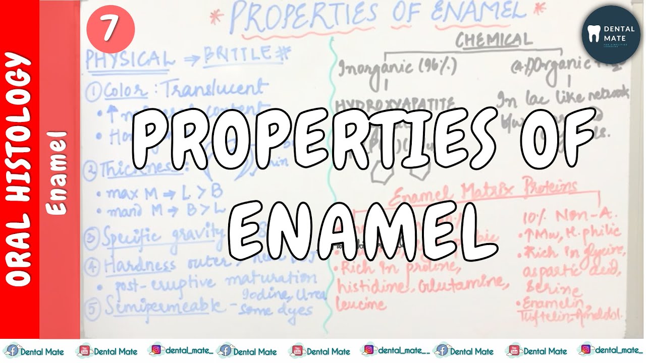 Enamel | Properties of enamel | Dr Paridhi Agrawal