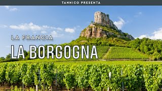 I vini della Borgogna Domaine, Vigneron e Grand Cru | Tannico Flying School