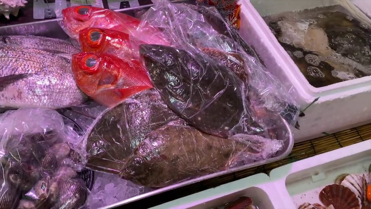 スーパーで買ったエビを海水水槽に入れると Youtube
