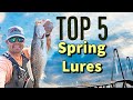 Top 5 Lures for Spring Inshore saltwater Fishing. Charleston
