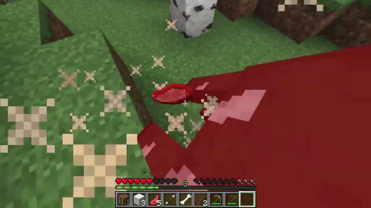 Video test