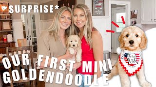 ADDING OUR FIRST MINI GOLDENDOODLE TO OUR PROGRAM | MEET MILLIE ROE