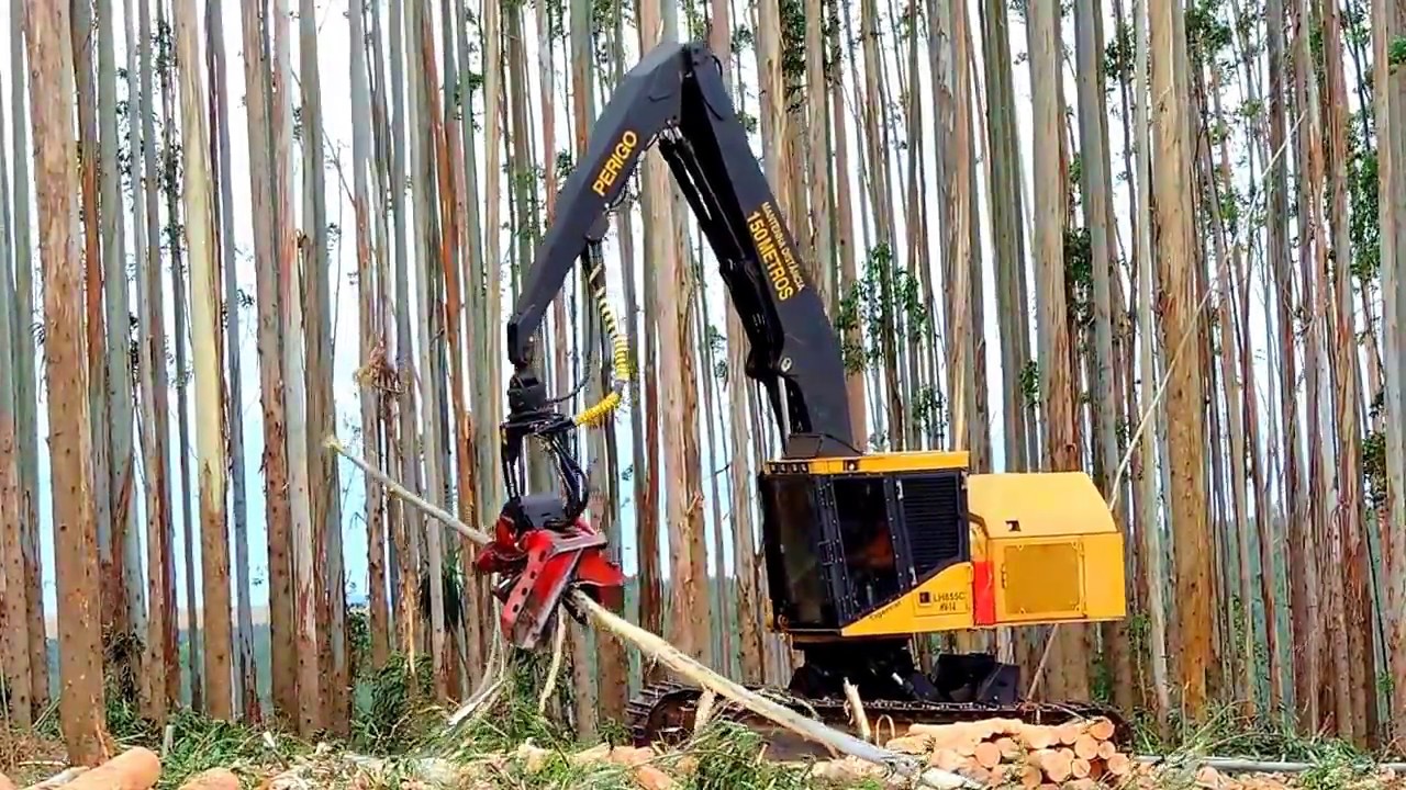 Colheita de Eucalipto com Harvester Tigercat LH855C - YouTube
