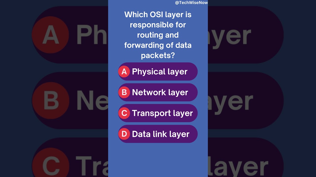 🌐 Network Layer: The Navigator 🧭|| 