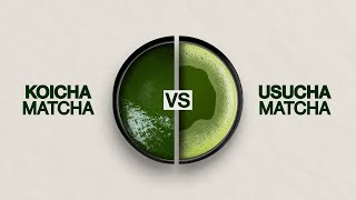 Koicha vs Usucha: Thick Tea vs Thin Tea Explained!