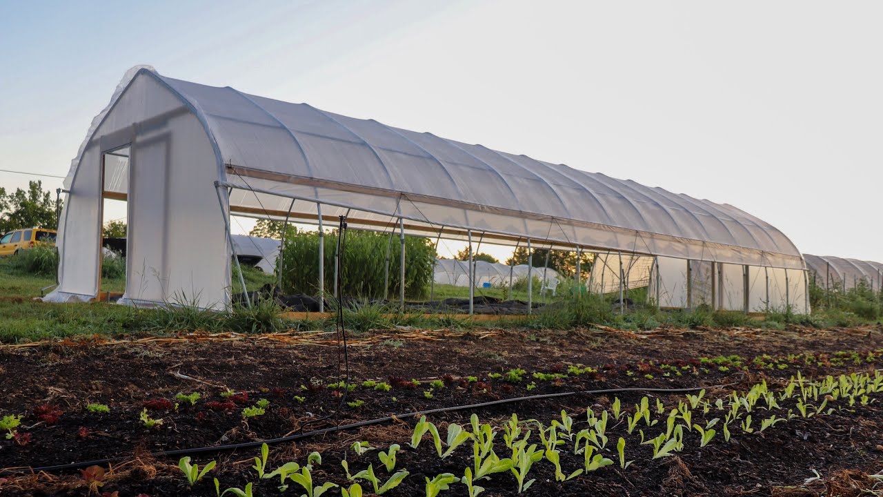 no till seed drill New Propagation House: Now what to do with it...