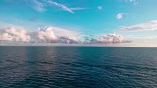 Overpopulation – How does it Affect the Environment