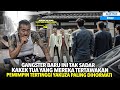 DIHINA DIKIRA KAKEK TUA LEMAH! Tak Taunya Pimpinan Yakuza Paling Dihormati - Alur Cerita Film