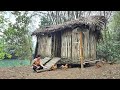 Xiao Ying went to the market to buy chicken breeds and finished building her homemade fence.