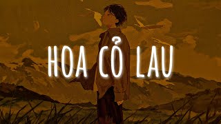 Hoa Cỏ Lau Lofi - Giữa Mênh Mang Đồi Hoa Cỏ Lau | Nhạc Lofi Chill Hot TikTok 2023