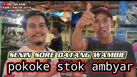 senin sore stok whamei ||wambie ambyar baru datang langsung watsap aja,kios lancar jaya edi jovanis
