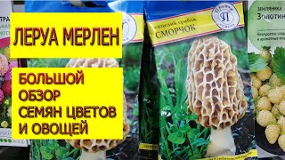 Леруа Мерлен обзор семян цветов и овощей