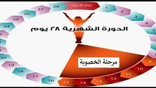 حساب أيام التبويض بدقه ومعرفة أكتر ايام الخصوبه للحمل