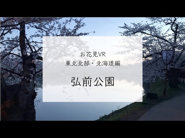 【お花見VR】360度動画でエア花見！「東北北部・北海道編 弘前公園（青森県）」 Sakura VR