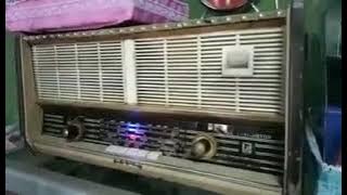 Bernostalgia tembang kenangan muchsin alatas full album