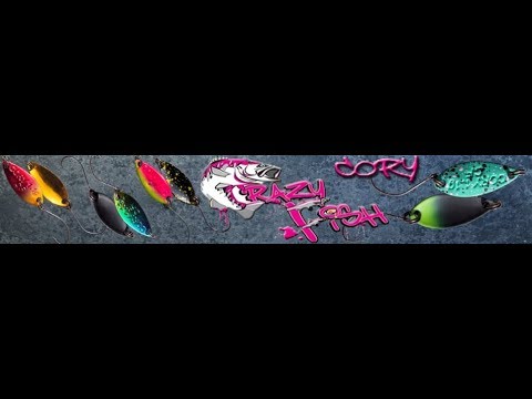 სპონტანური ორთაბრძოლა