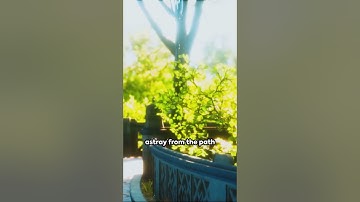 Law 474 - Do no more and no less than the commandments #jewishlaw #life #love #christianbrothers