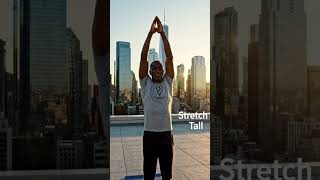 Reach Higher | Full Body Stretch Tutorial