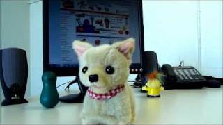 Chi Chi Chihuahua : Soft Mechanical Puppy Toy : Westminster