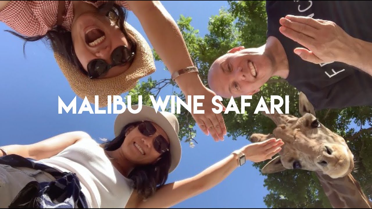 malibu wine safari giraffe tour