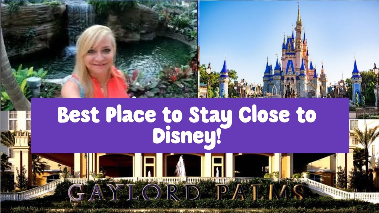 Gaylord Palms Orlando Resort Is An Amazing Immersive A Fun Place To gaylord-palms-orlando-resort-is-an-amazing-immersive-a-fun-place-to