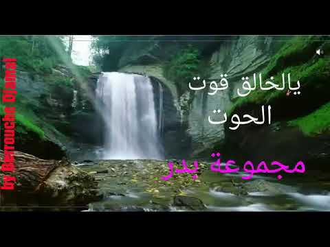 مجموعة بدر مصطفى العباسي في نشيد يالخالق قوت الحوت جميل جدا 