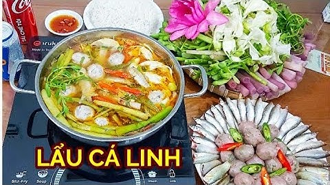 Cách nấu LẨU CÁ LINH đơn giản mà ngon hết nước chấm || ÂTTG