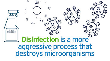 Resurgence Of Sanitation