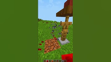 How To Make A Scarecrow! #shorts