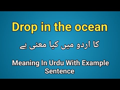 Drop in the ocean meaning in urdu/hindi | Droo in the ocean k kya
